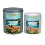 Bougie parfumée de St-Tropez